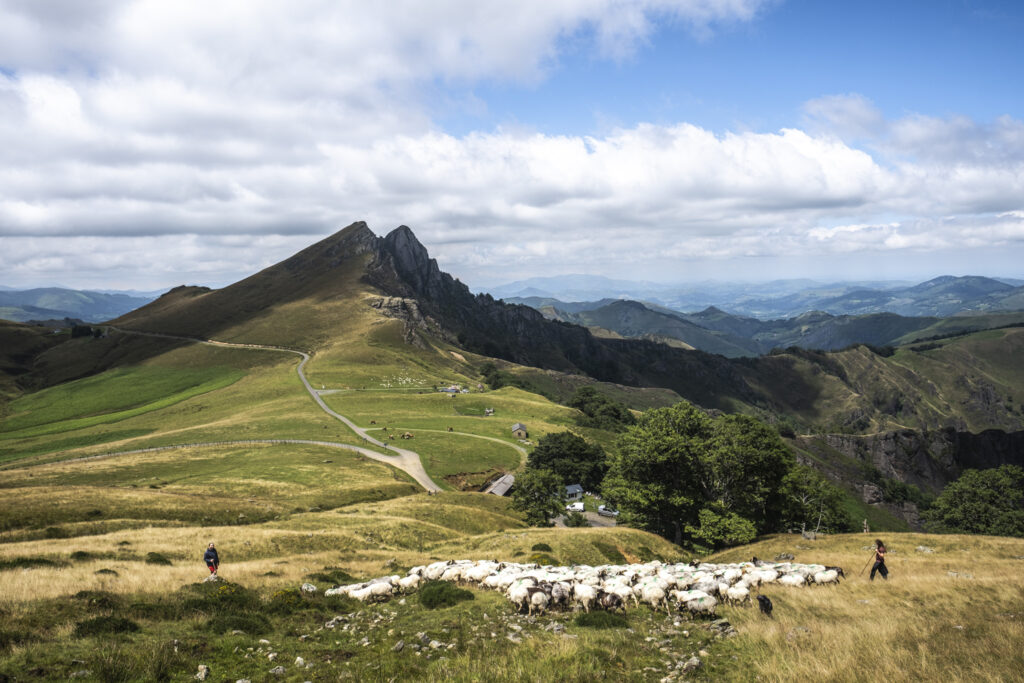 montagnes d'iraty au pays basque et troupeaux de brebis
